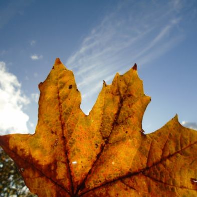 tsa_PhotoClubwk5 (11)